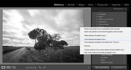 Aprendiendo con Lightroom 4