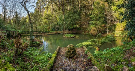 Bosque Hadas Encantado Espana