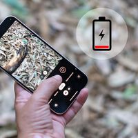 La actualización de mayo de los Google Pixel sigue sin arreglar los problemas de batería 