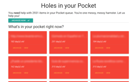 Holes In Your Pocket