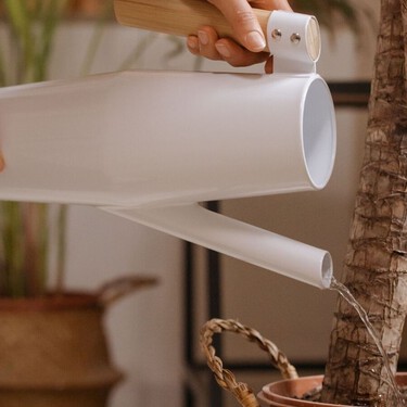 El error al regar las plantas durante una ola de calor que puede estropearlas en pocos días