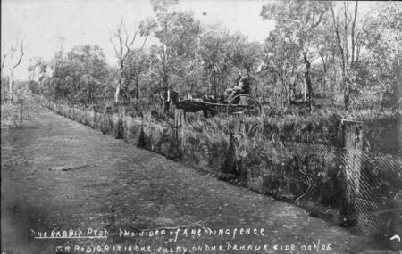 Australia Rabbit Fence Cobar October 1905