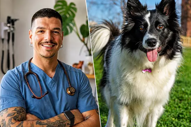 Adrian Conde Veterinario No Recomiendo Tener Un Border Collie En Casa Con Ninos Porque Es Un Perro De Trabajo Y Si No Le Damos Las Necesidades Adecuadas Se Puede Estresar