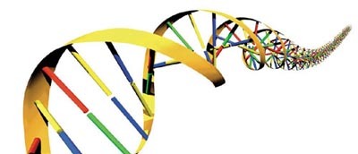 Un paso más cerca de los bioordenadores