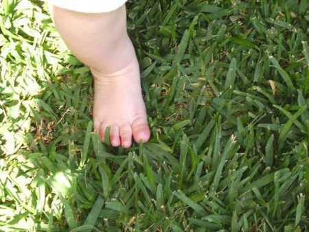 La foto de tu bebé: una nueva experiencia para Alma