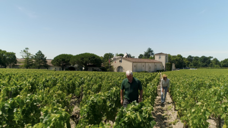 El Vino Como Legado El Gourmet