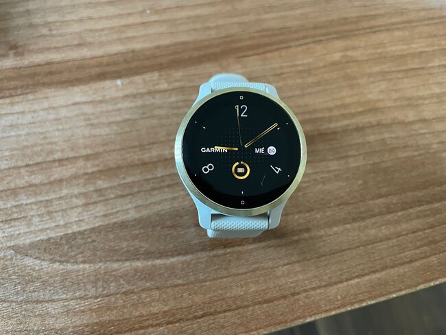 garmin