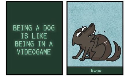 Imagen de la semana: ser un perro es como estar en un juego