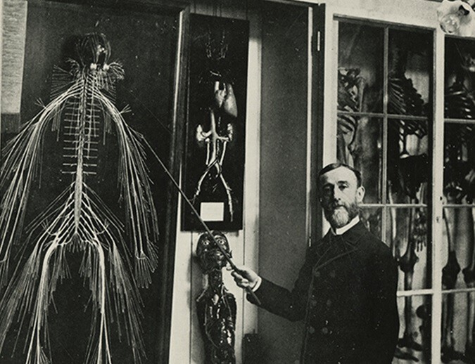 La fascinante disección de Harriet, el cadáver separado nervio a nervio que alumbró la medicina forense