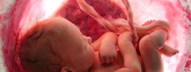 La placenta se adapta cuando las madres tienen una dieta deficiente o falta de oxígeno durante el embarazo