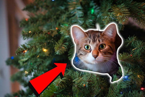 Tu gato contra el árbol de Navidad: 5 trucos infalibles para ganar la batalla este diciembre