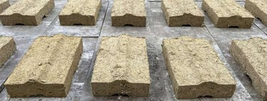 Temos um sério problema com tijolos; fabricá-los com cana-de-açúcar e areia promete ser a solução 