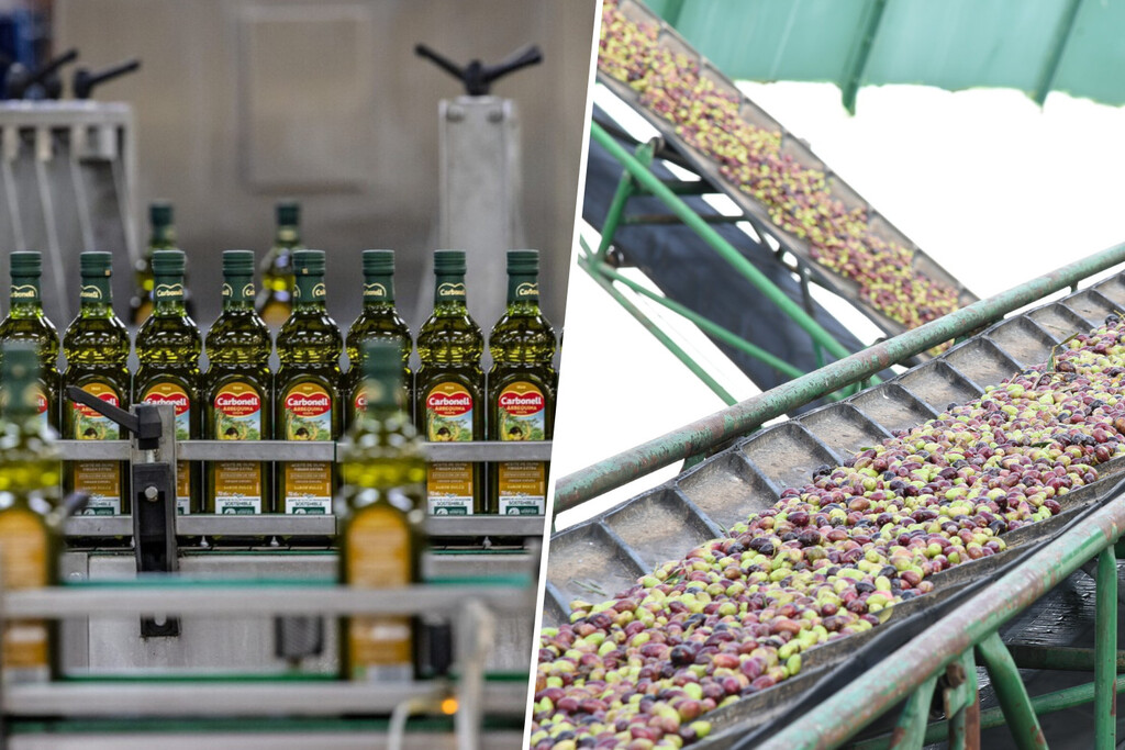 El mercado del aceite está tan roto que España prepara ya su gran arma para arreglarlo: retirar aceite vía decreto 