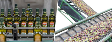 El mercado del aceite está tan roto que España prepara ya su gran arma para arreglarlo: retirar aceite vía decreto 