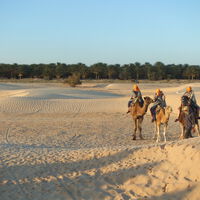 Marrocos precisa de mais colheitas para competir com a Espanha e, por isso, vai irrigar o Deserto do Saara 