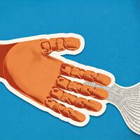 Hacer una mano robótica es "100 veces más difícil" que construir el robot entero. Estas empresas chinas están decididas a resolverlo 