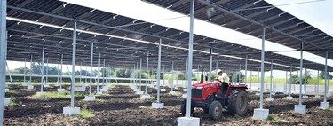 A Índia precisa de mais usinas e energia solar do que qualquer outro país; por isso, está instalando painéis solares em grandes altitudes 