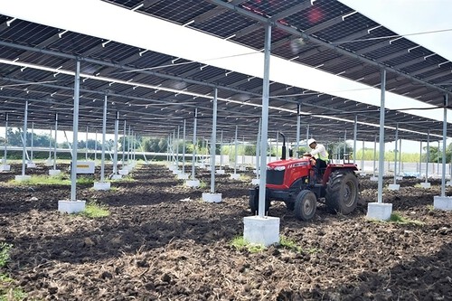 A Índia precisa de mais plantações e energia solar do que qualquer outro país. Por isso, está instalando painéis solares em grandes altitudes