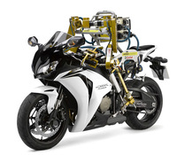 Flossie, el probador perfecto para Castrol