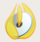 Bonfire, grabación de CDs y DVDs en Linux