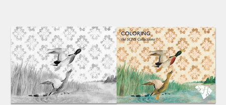 En esta web consigues decenas de libros para colorear gratuitos de más de 100 instituciones culturales de todo el mundo