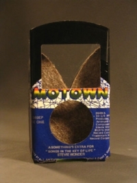 45iPodcases, fundas hechas con discos de vinilo