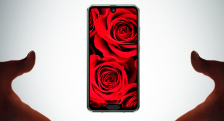 Ha pasado: el Sharp Aquos R2 Compact tiene dos notch, uno para la cámara y otro para el sensor de huellas