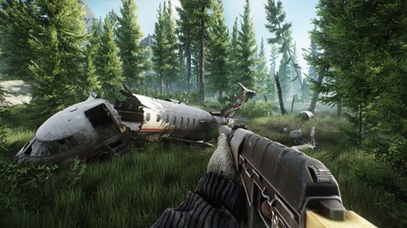 Woods Tarkov
