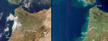 Satellite images leave no room for doubt: it has rained so much that Morocco has not looked so green for a decade