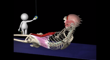 Abdominales: ¿trabajo dinámico o de estabilización?