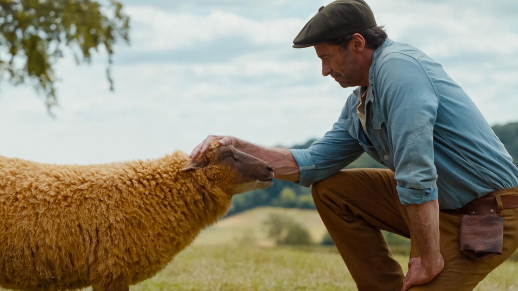 Finde de contrastes entre ovejas adorables y combates mortales. Lo mejor y lo peor de los estrenos de cine