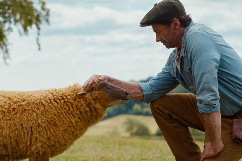 End of contrasts between adorable sheep and deadly fighting. The best and the worst of the movie premiere