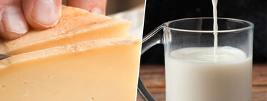 No todos los lácteos son iguales para la microbiota: un estudio confirma las diferencias entre tomar leche y comer queso 