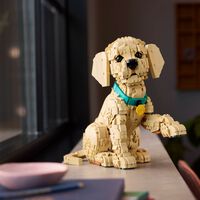 También hay animales dentro del catálogo de LEGO®: tenemos un cachorro de golden retriever, delfines y mucho más 