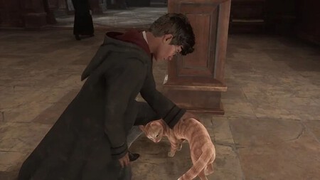 Un jugador de Hogwarts Legacy acariciando un gato