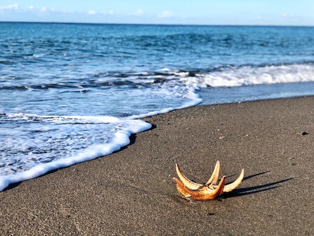 Playa Salobreña