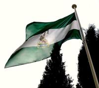 Suma y sigue: Andalucía necesitará un rescate de 4.906 millones de euros 