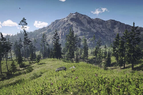 Taiga Rdr2 Últimas noticias de Red Dead Redemption 2 - Vida Extra