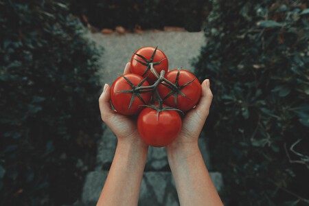 Este es el impacto positivo que ocurre en tu cuerpo cuando tomas tomate a diario