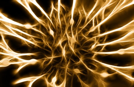 ¿Cuántas neuronas hay en el mundo?