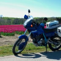 Honda Dominator ¿resucitará en breve?