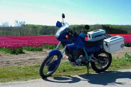 Honda Dominator ¿resucitará en breve?