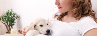 ¿Puede tu perro saber que estás embarazada? Qué dice la ciencia