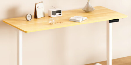 Escritorio Elevable Flexispot E1 Pro