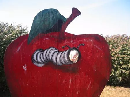 ¿Alimentos orgánicos?: más caros pero no más sanos, desde Xataka Ciencia