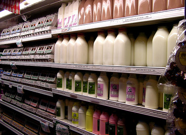 ¿Cómo se hace la leche sin lactosa?