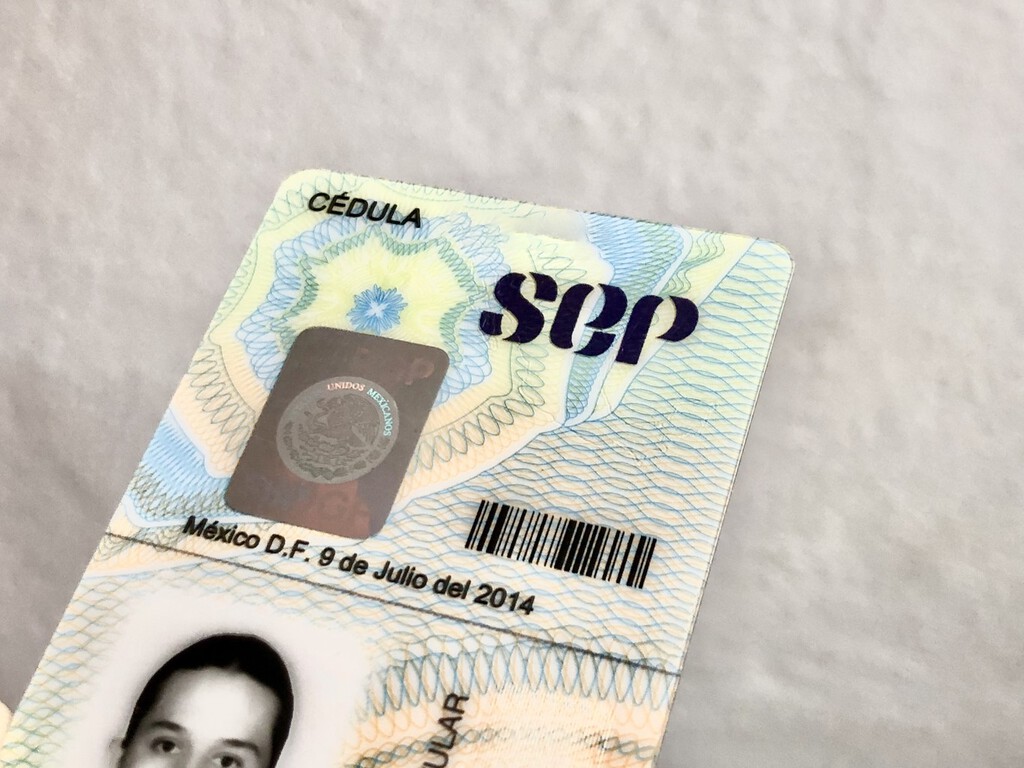 SEP digitaliza trámites para profesionistas: cuáles son y cómo hacerlos ahora completamente en línea 