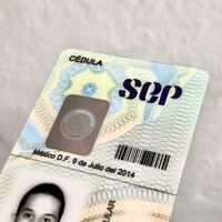 SEP digitaliza trámites para profesionistas: cuáles son y cómo hacerlos ahora completamente en línea 