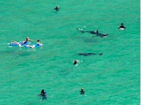 De la nube volcánica, a los tiburones de Irlanda