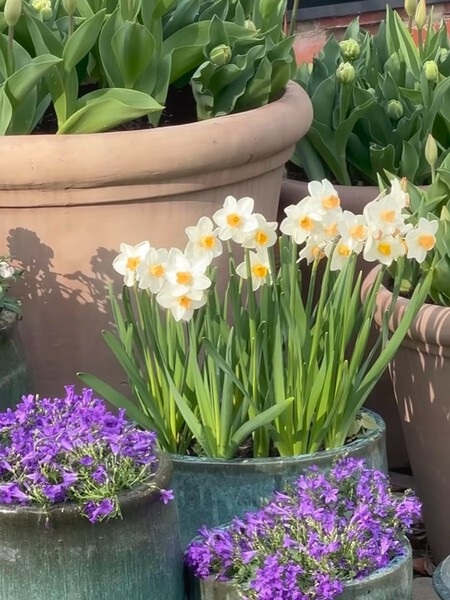 El Verde Natural No Es Solo Un Color Es Una Experiencia Visual Que Conecta El Espacio Co